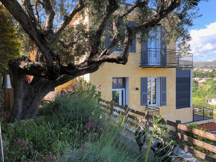 0555bf48-8aad-40cd-aba5-f36470cd5d2f